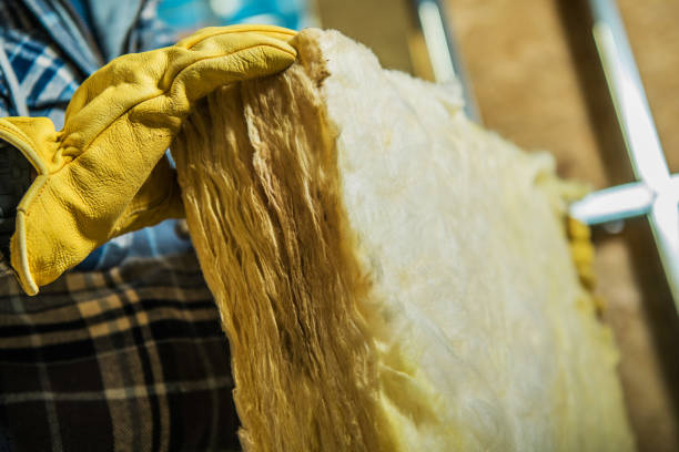 Best Attic Insulation Installation  in Tierra Verde, FL